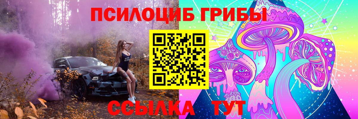 Псилоцибиновые грибы прущие грибы Изобильный